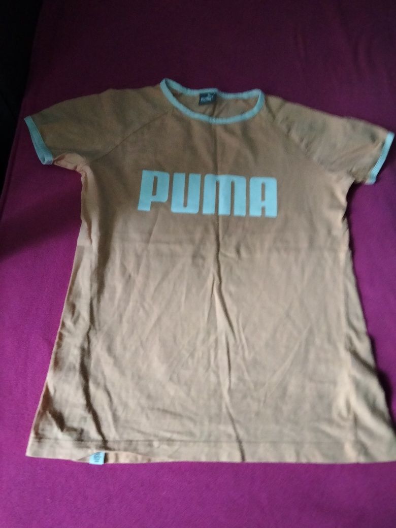 Koszulka pomarańczowa Puma