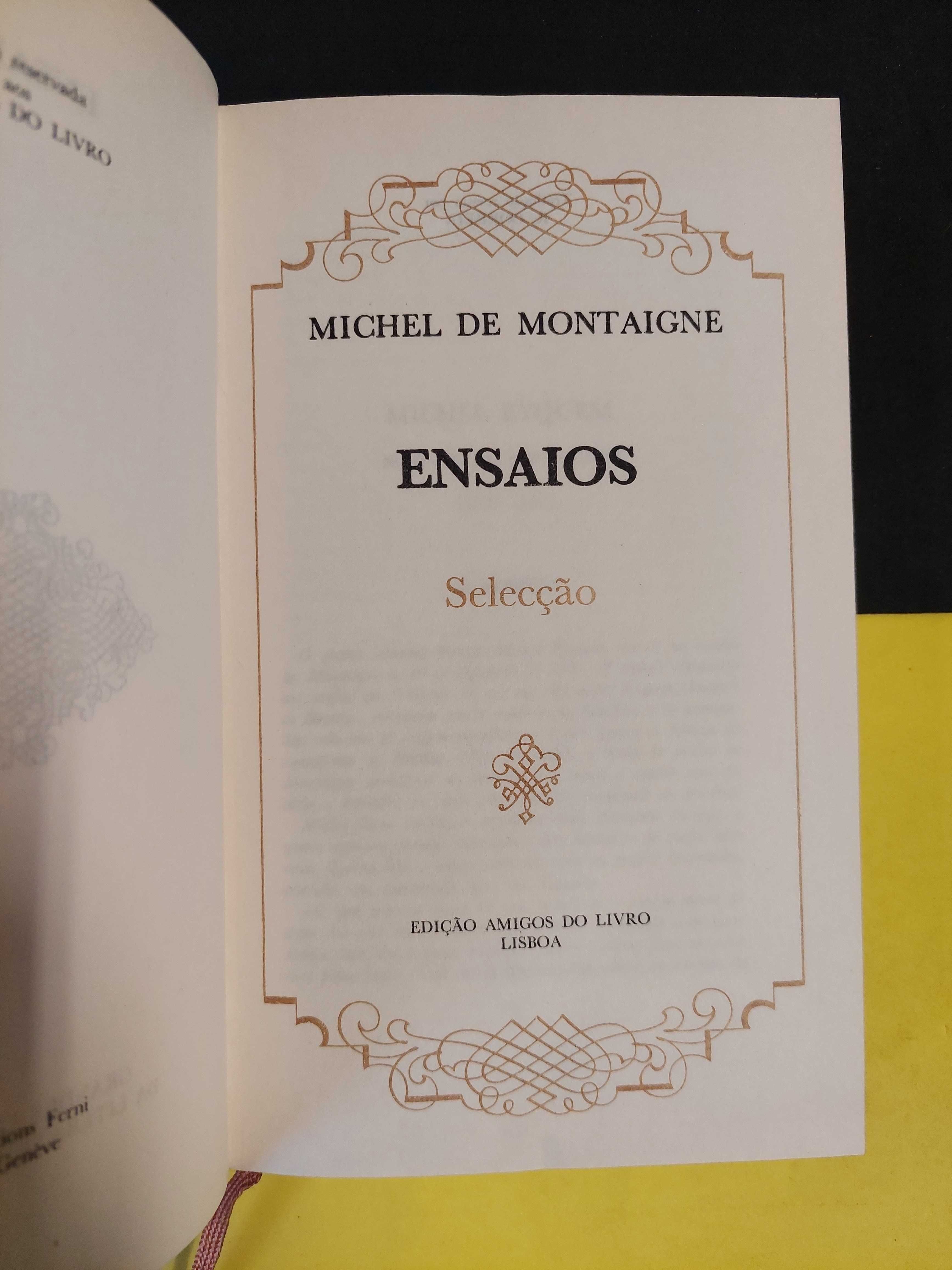 Michel de Montaigne - Selecção de ensaios