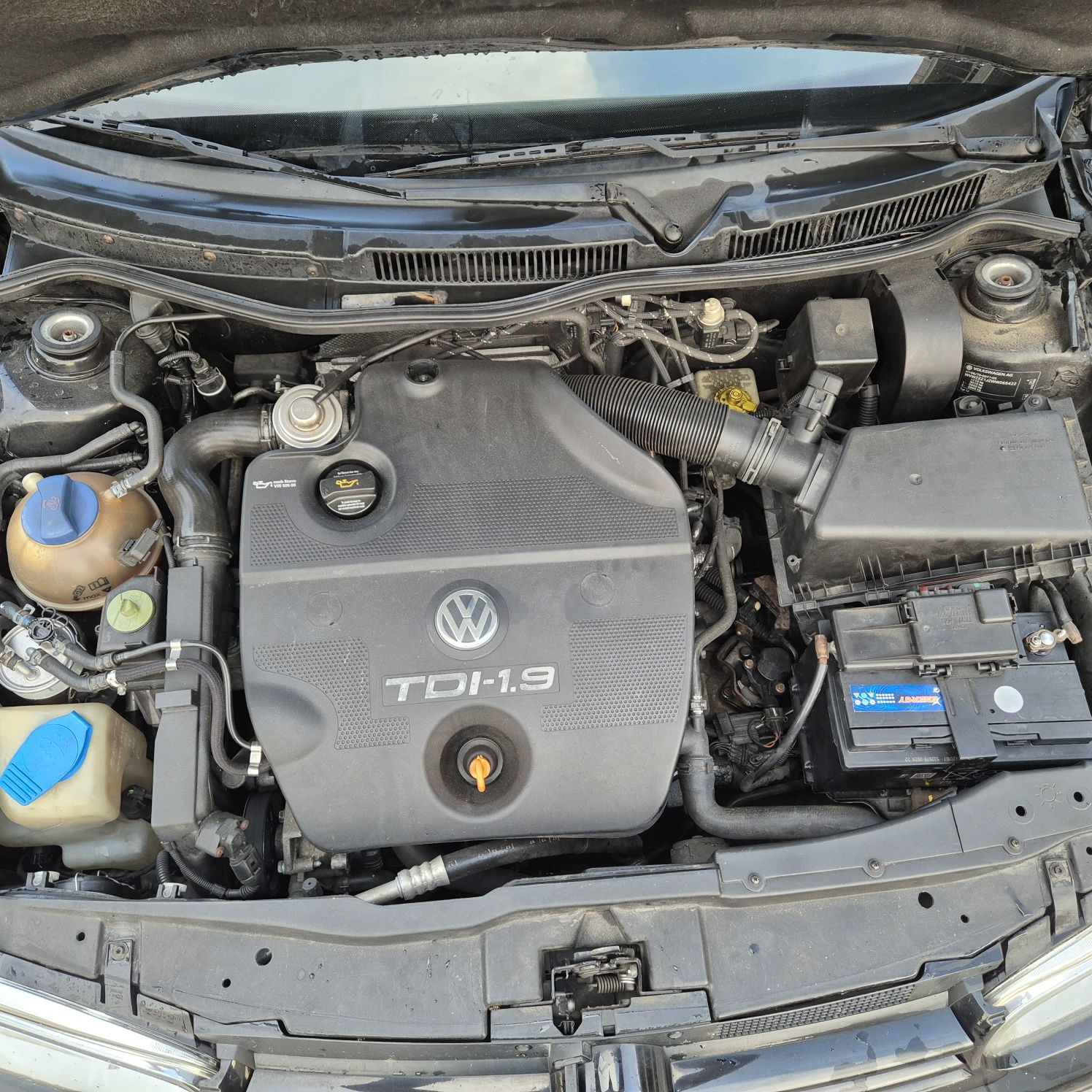 Vw Golf 1.9 TDI 90 cvs
