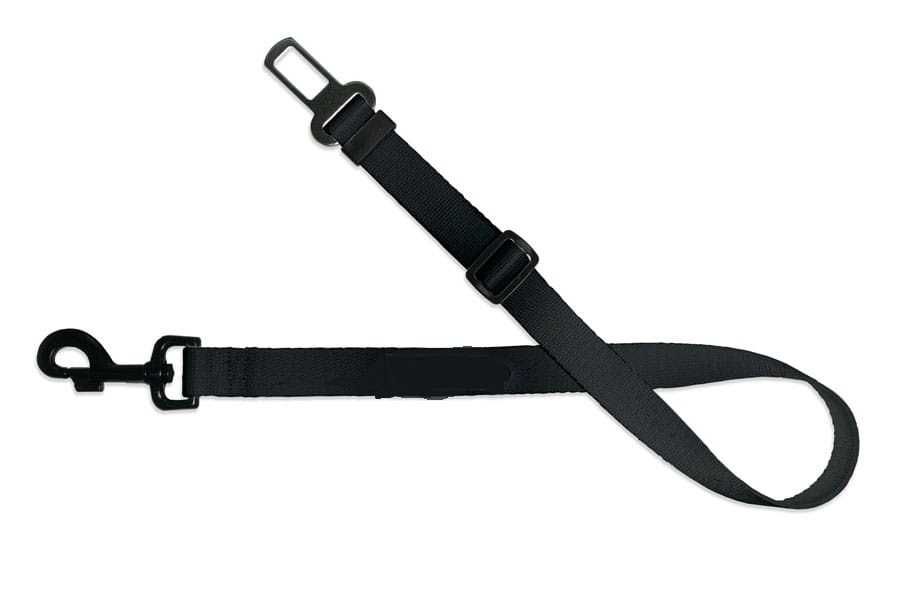 smycz samochodowa dla psa 2 sztuki