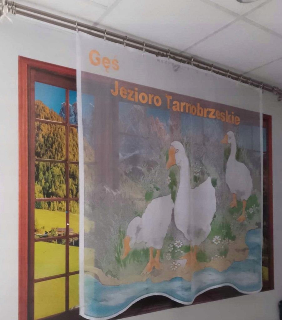 Firanka gąski 150x150cm firana żakard dla dzieci gęsi kolorowe firany