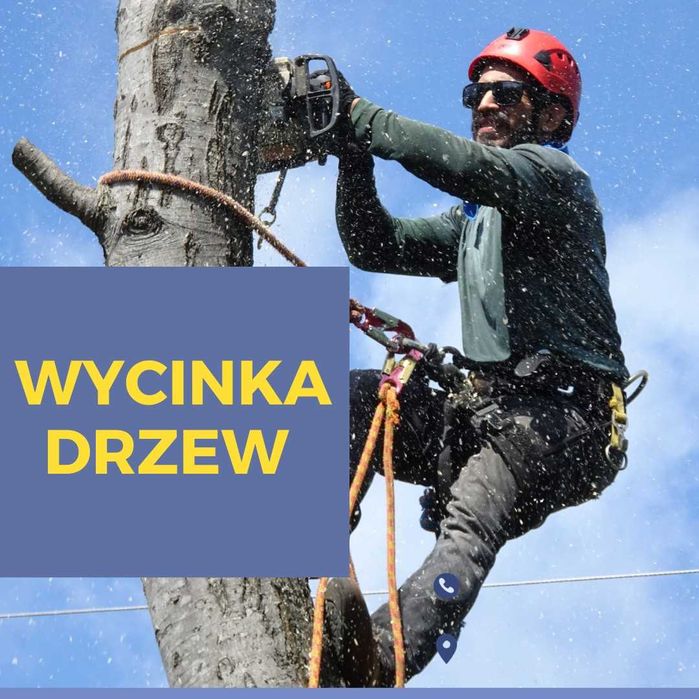wycinka drzew rębak mulczer