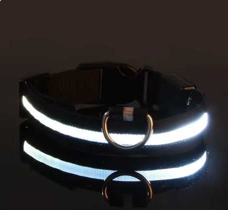 Super Okazja Świecąca Obroża Dla Psa