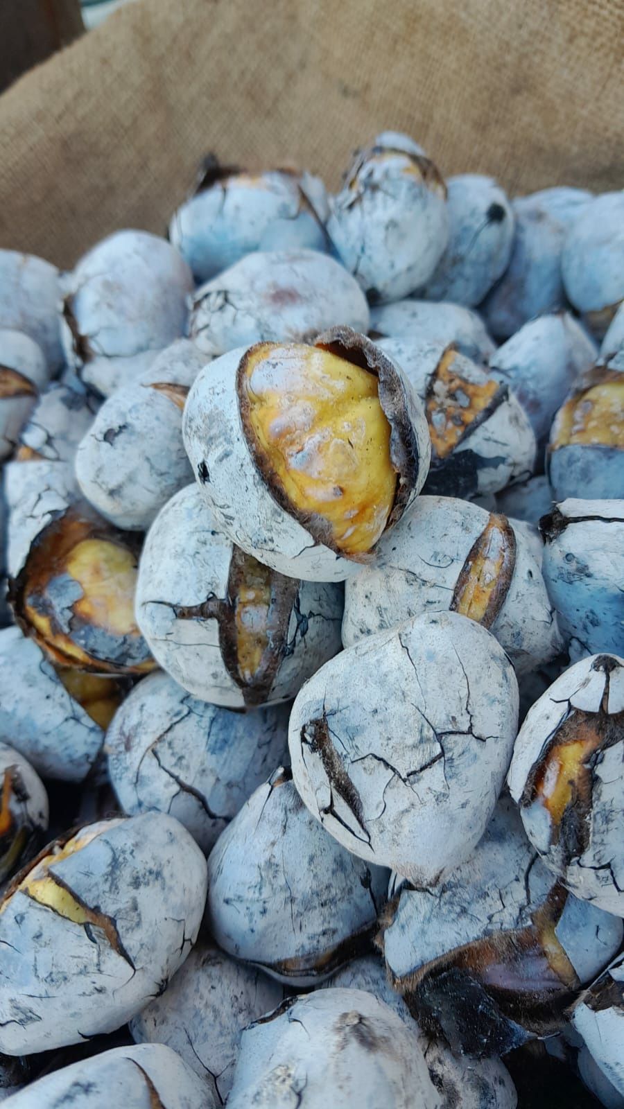 Castanhas assadas para eventos