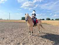 Sprzedam klacz haflinger