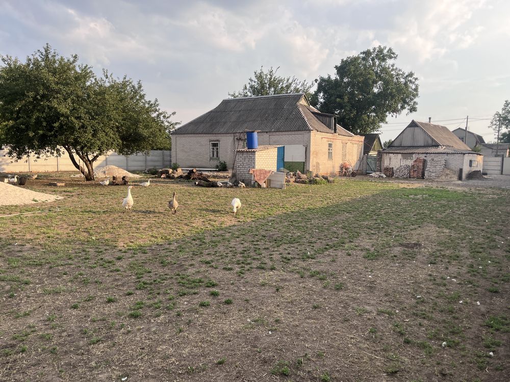 Продам дом в Обуховке