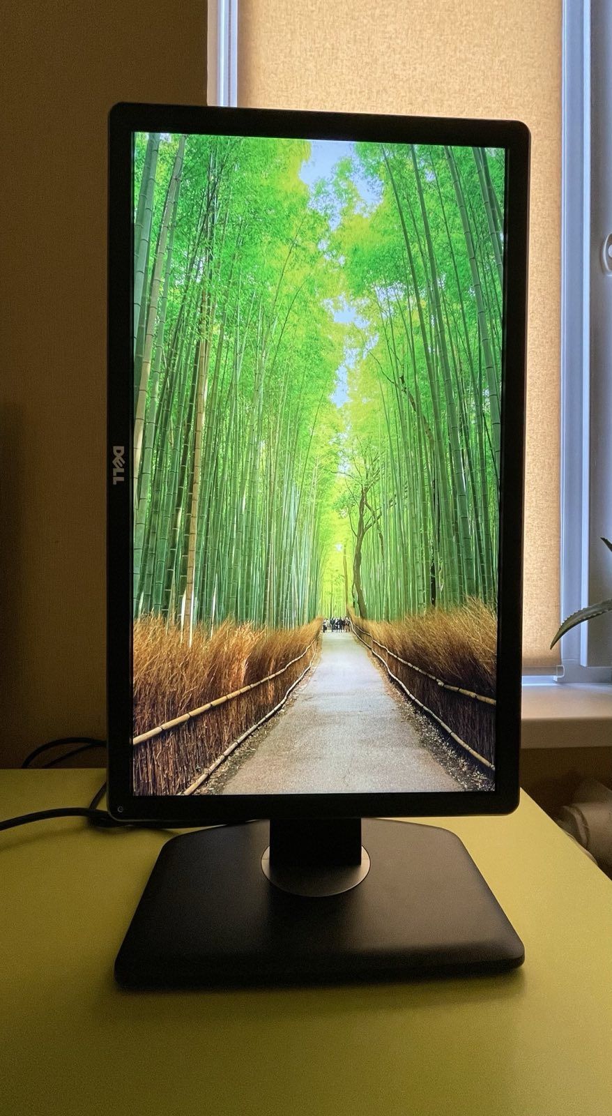 Монитор Dell P2214Hb / 21.5" (1920x1080) IPS / VGA, DisplayPort, DVI,