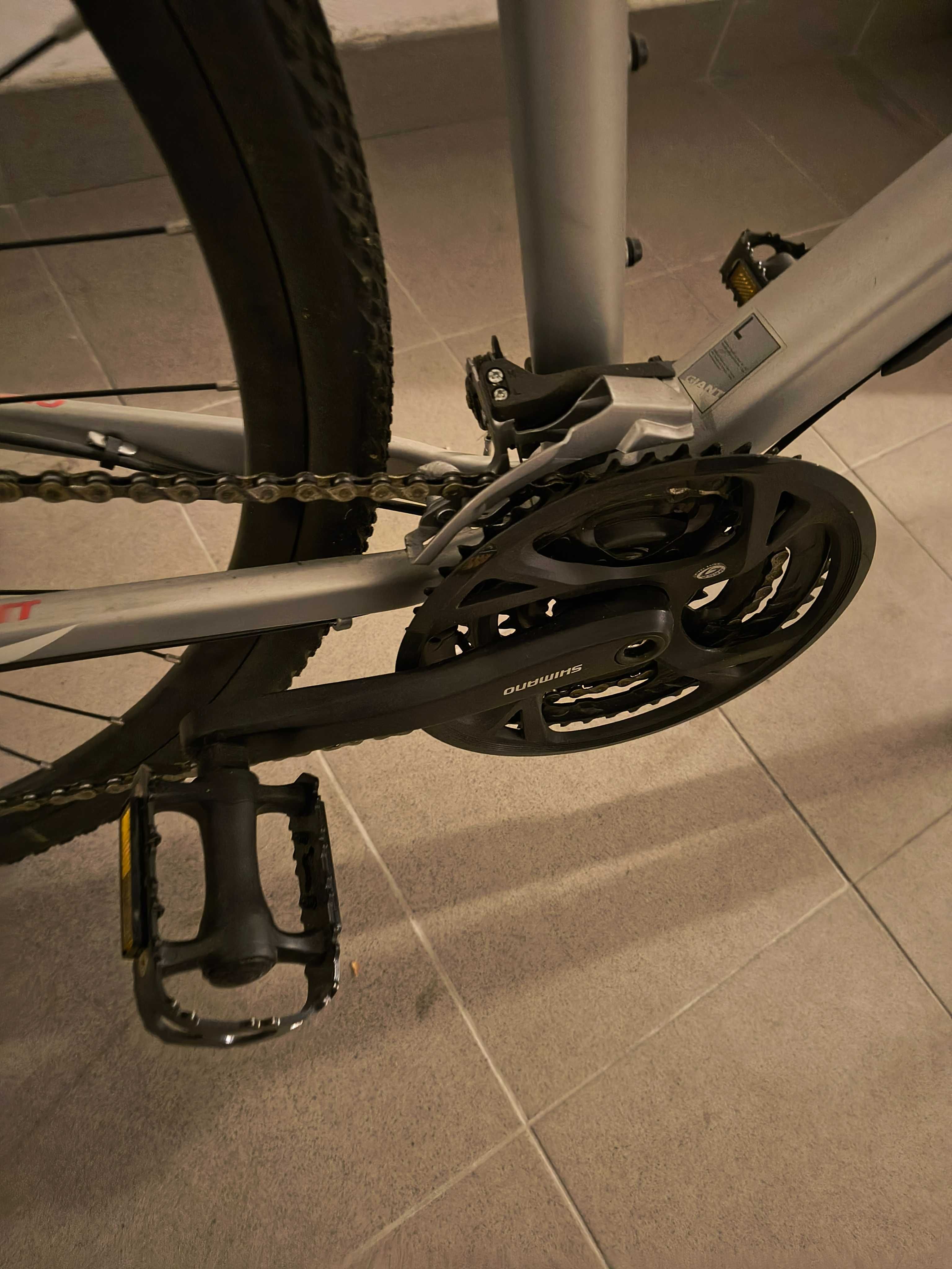 Rower Giant  Roam 2
