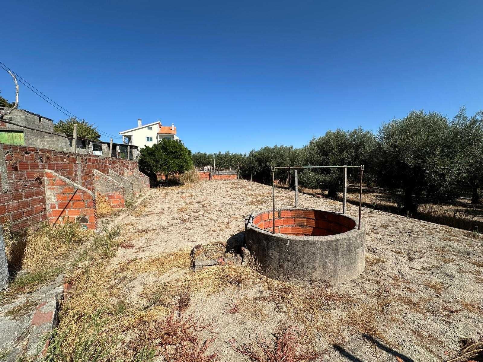 Terreno urbano de 1200m2