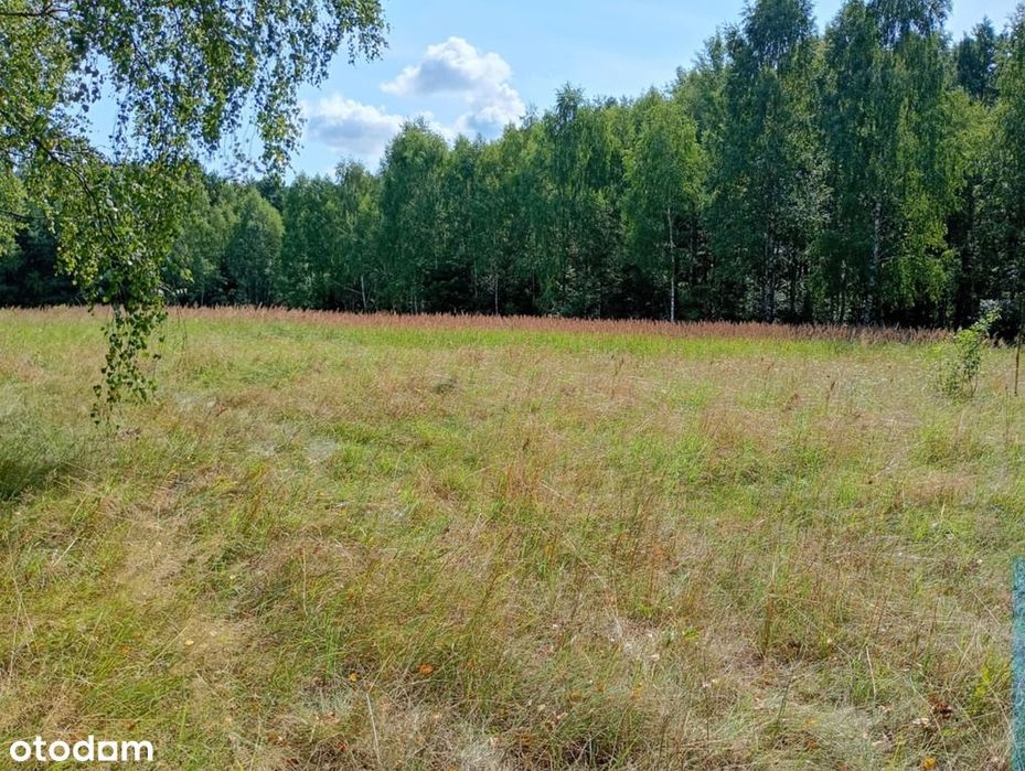 Działka na odludziu? Tak, i to konkretna!