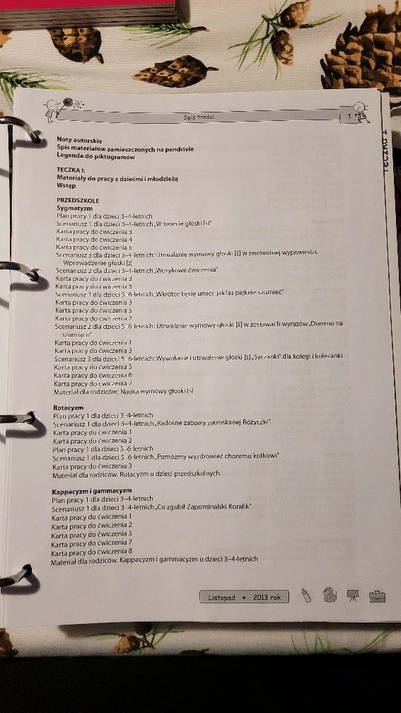 Teczka pracy logopedy + materiały multimedialne na pendrive