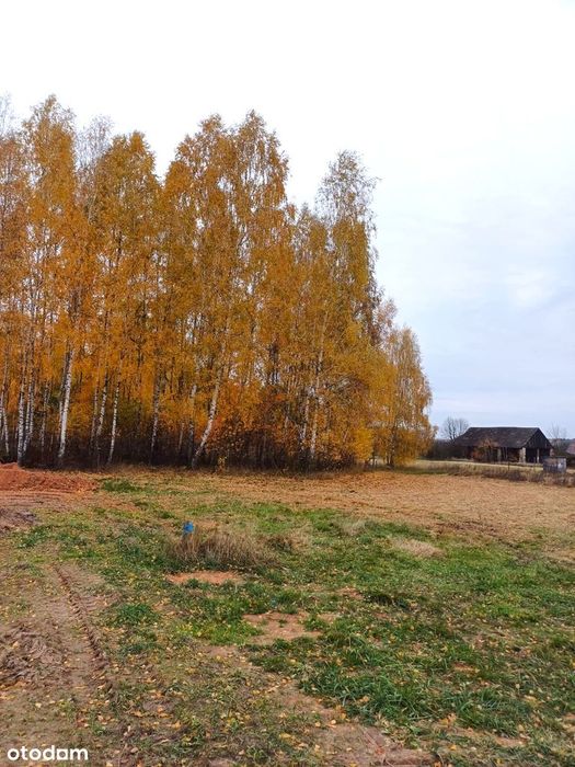 Złota polska jesień w objęciach rzeki Liswarty