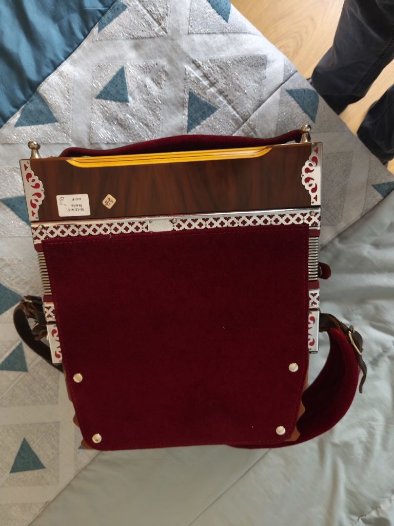 Concertina pedrosini