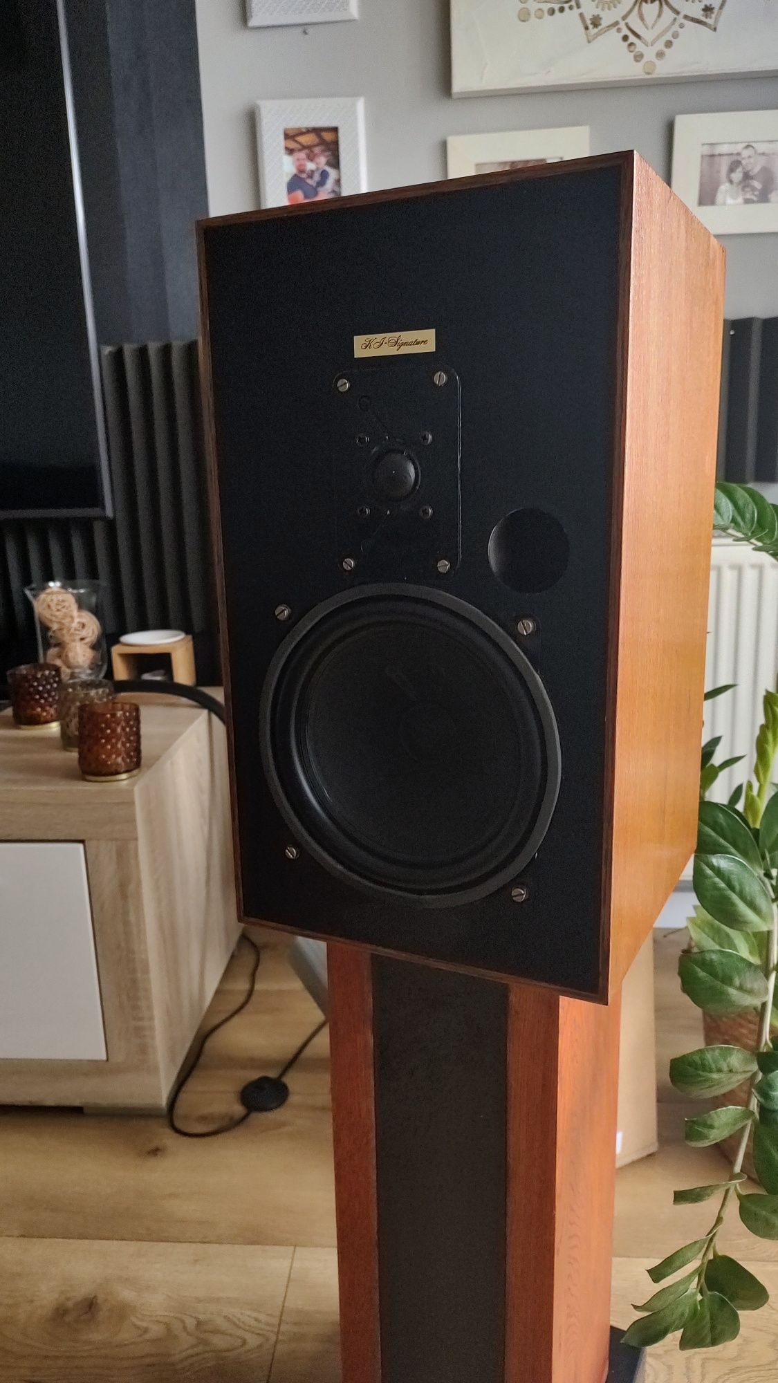 Monitory studyjne KS kucke linea b50