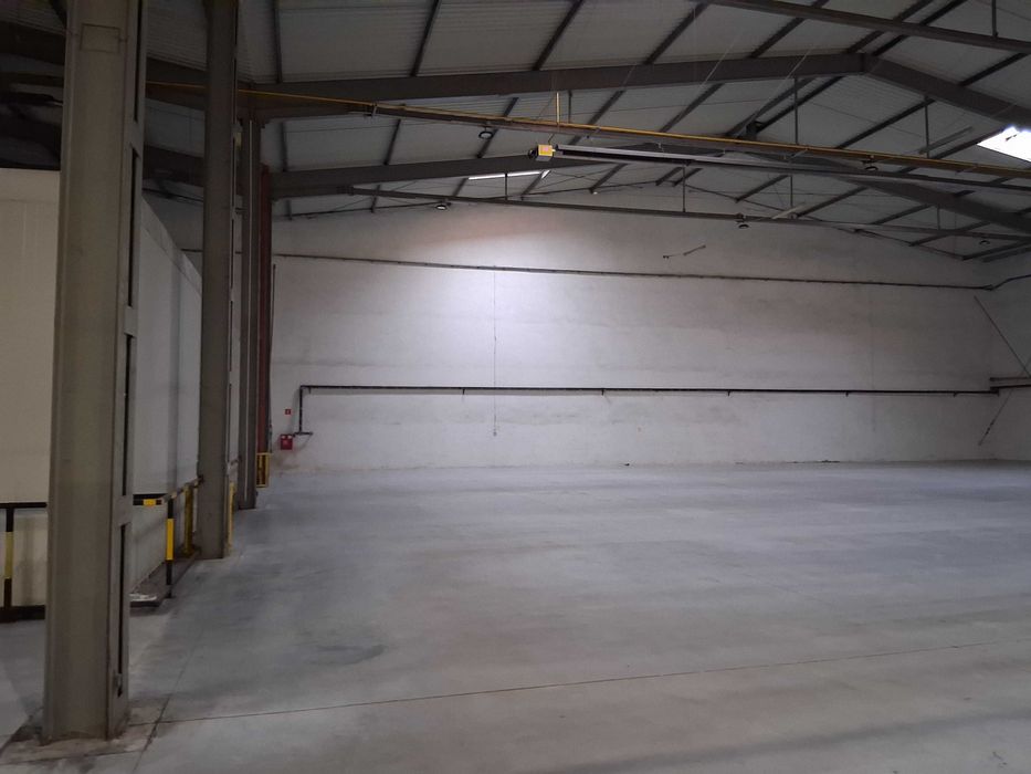 Magazyn Hala Piaseczno 1162 m2