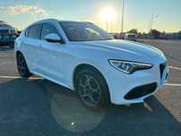 Alfa Romeo Stelvio Rok modelowy i pierwsza rejestracja 2019