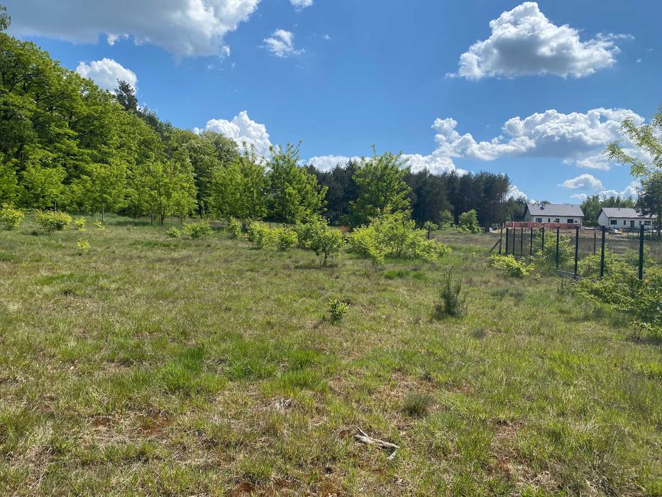 Florentynów, działka budowlana -  sprzedam.