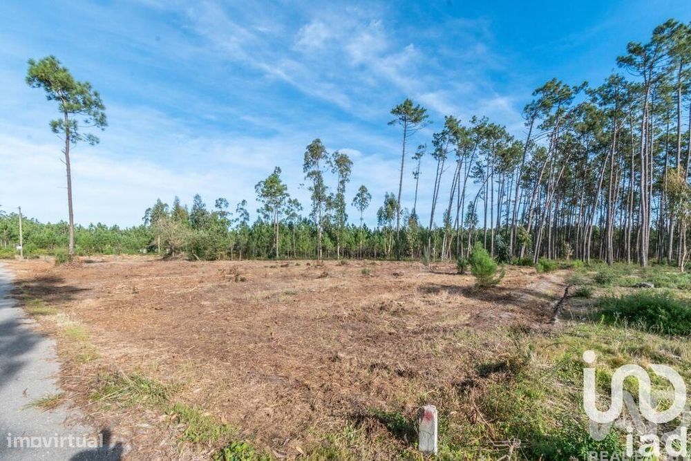 Terreno em Monte Redondo e Carreira