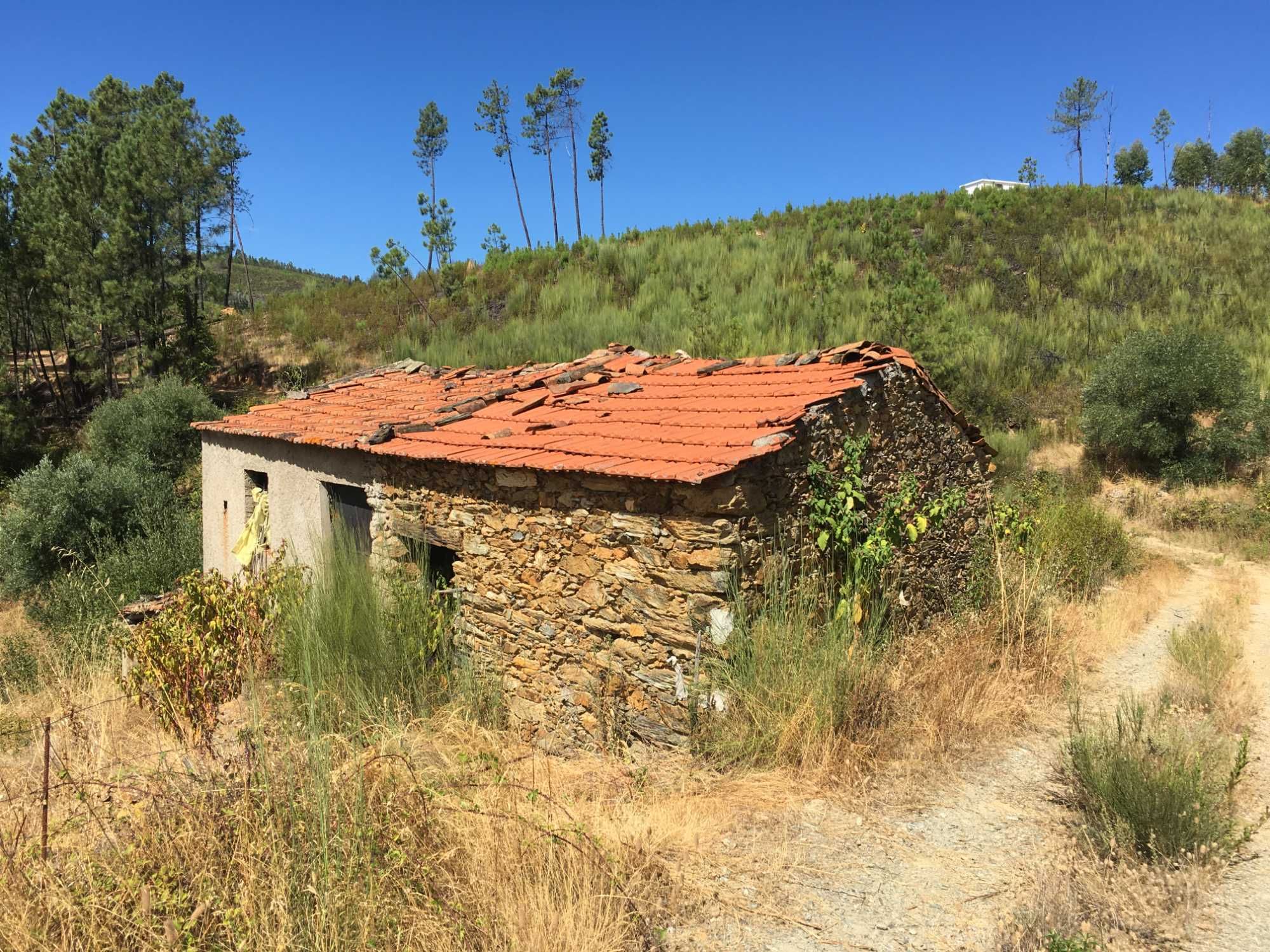 Terreno 3762 m2 com casa para reconstrução Total - Silvosa, Oleiros