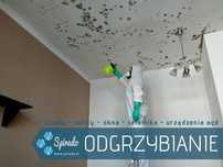 Usuwanie pleśni | Odgrzybianie ścian | Pomiar wilgotności | Termowizja