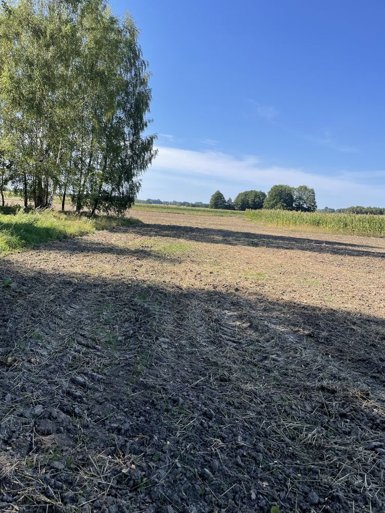 Działka Złotniki Klewinowo Bialystok gm. Juchnowiec 0,19ha Podlaskie