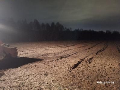 Wycinka drzew Frezowanie pni drzew Mulczer Wgłębny, Mulczer Leśny