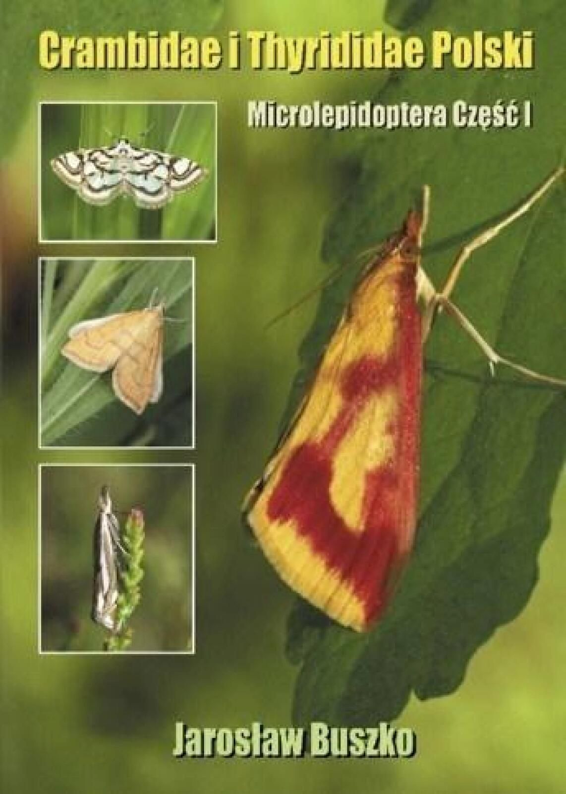 Crambidae i Thyrididae Polski Koliber Jarosław Buszko Rok wydania: