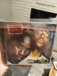 The infamous mobb deep