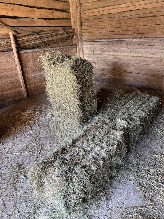 Продам віники для бані