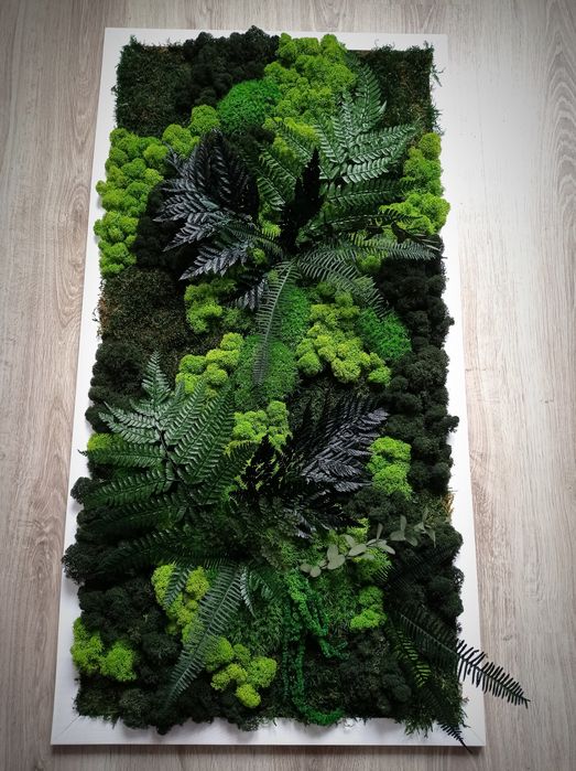 Obraz z mchem ozdoba do firm biur rośliny biurowe mech stabilizowany