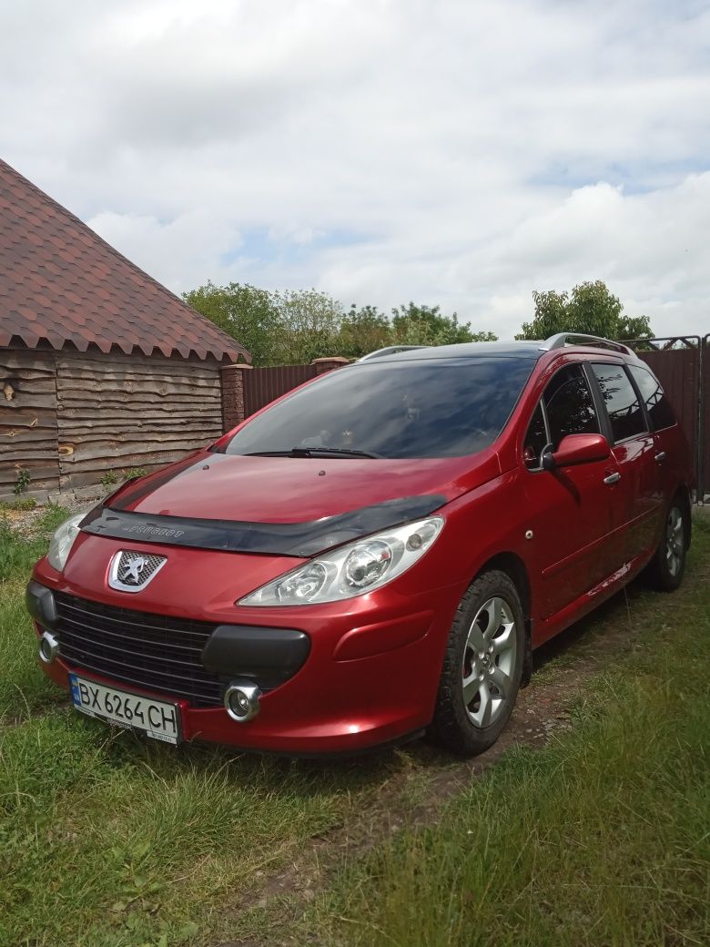 Пижик 307св 2006