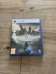 Hogwarts Legacy PS5 – zanurz się w świecie magii!