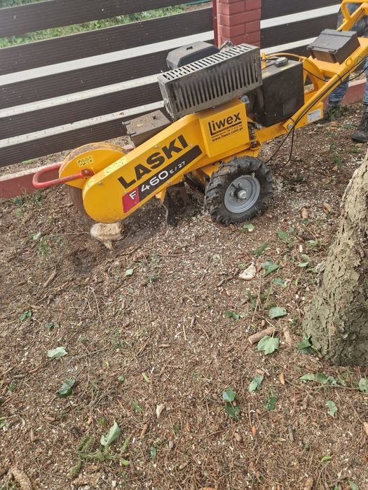 Wycinka drzew i krzewów, usługi rębakiem, usługi glebogryzarką, zwyżka