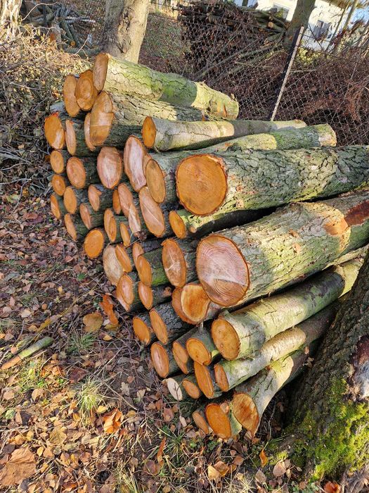 Drewno opałowe  OLCHA