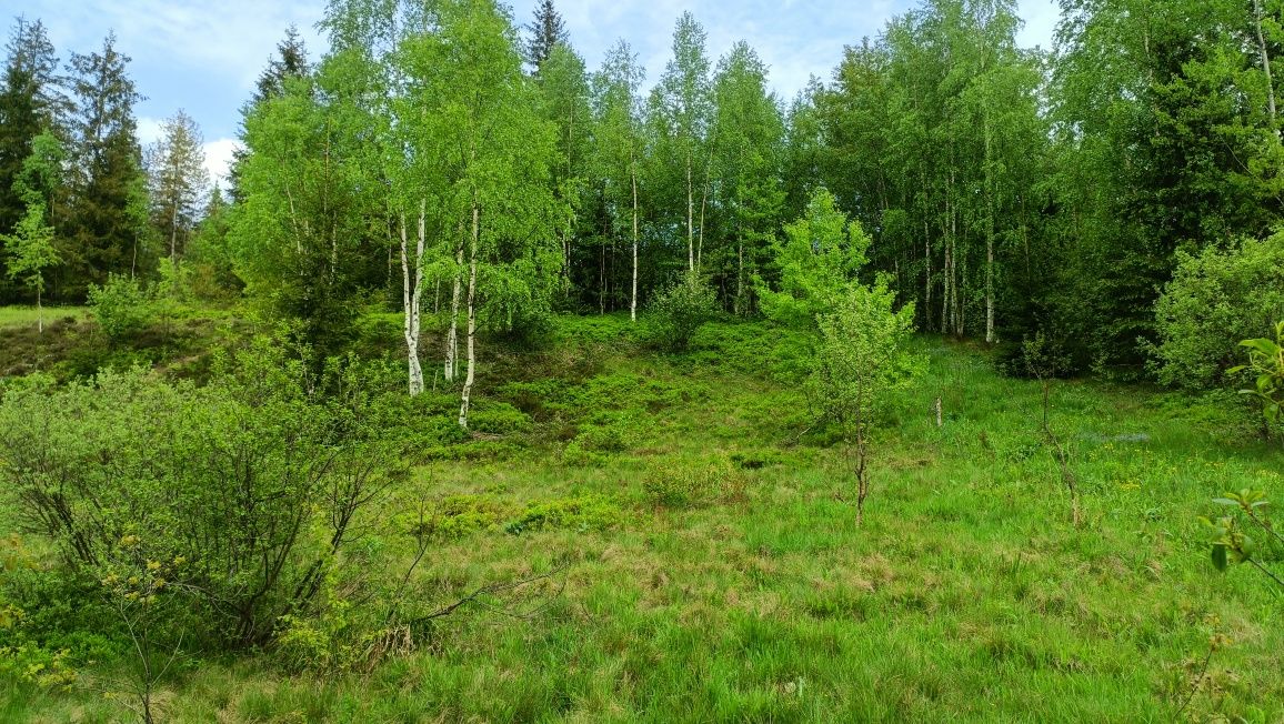 Продається земля Микуличин (пр. Полумистий)