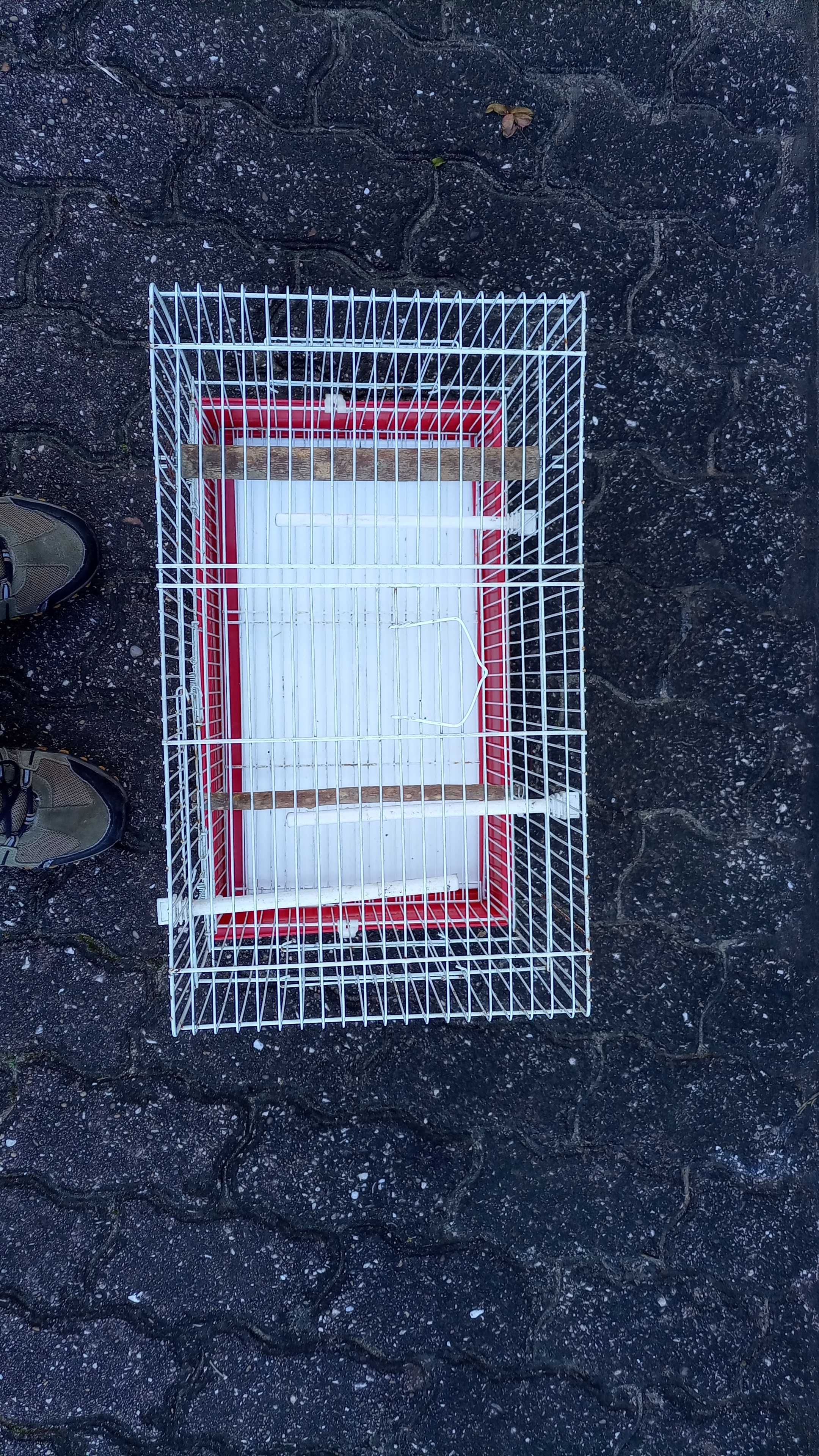 Artigos Diversos  Para Aves - Leiria Arredores