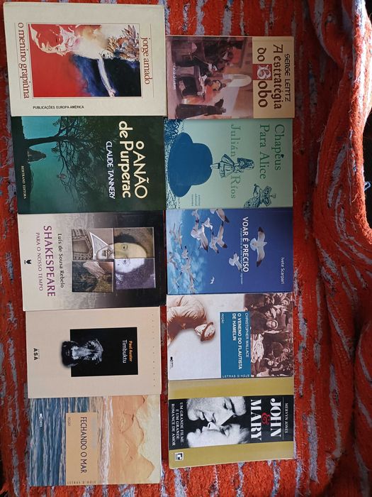 16 Livros Pilcher, Kostova, Paixão, J. Verne, Outros, CADA