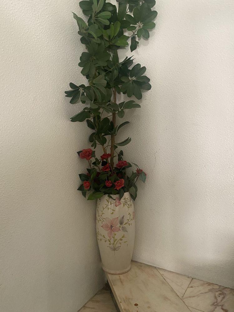 Vasos - varias unidades OFERTA de plantas