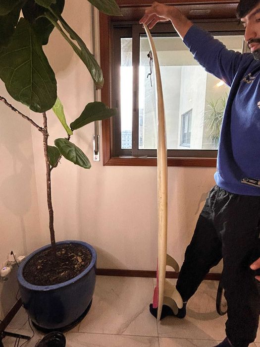 Prancha Surf 5’8 MR Model – Rabeta Swallow – Tri-fin