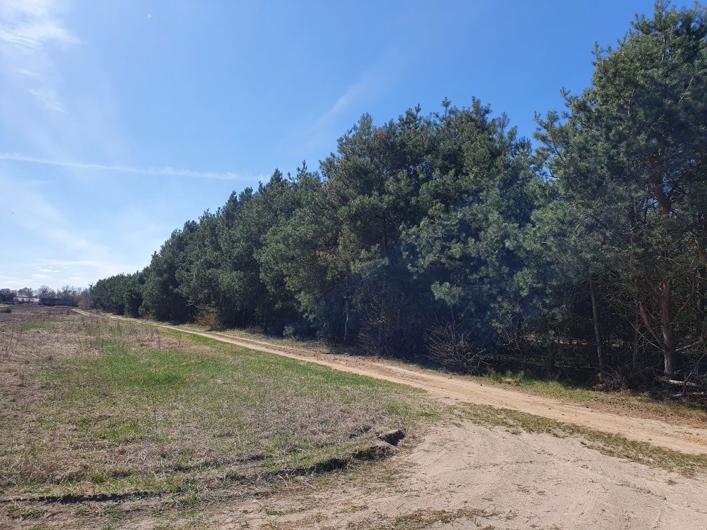 Działka budowlana w Kępie Polskiej