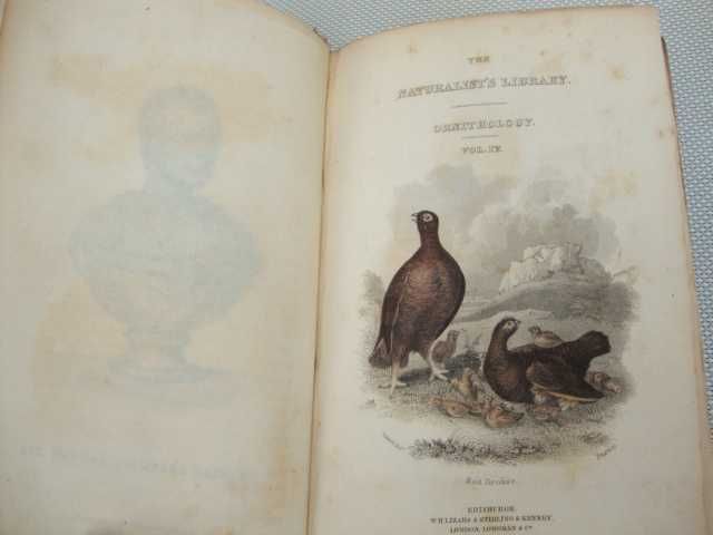 The naturalist`s Library Ornithology - 1834  (Livro raro)