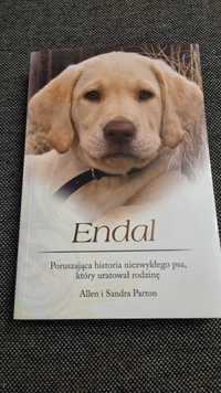 Książka Allen i Sandra Parton  - Endal