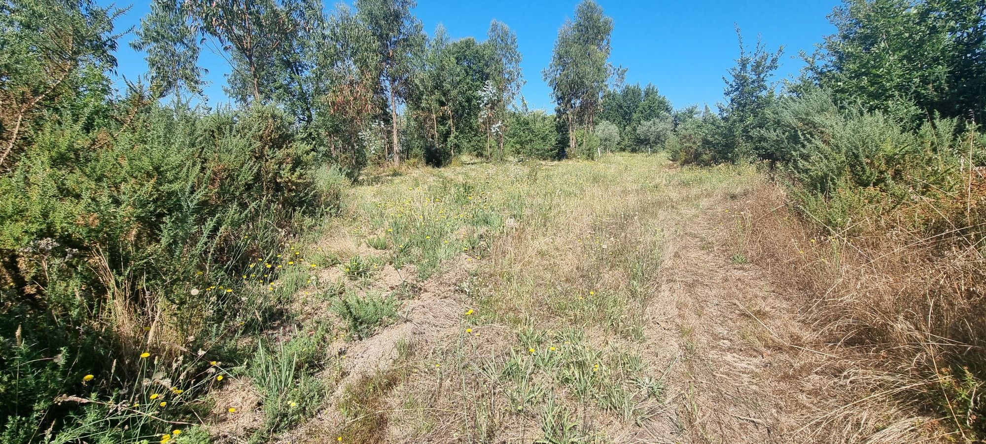 Terreno com 2510m²