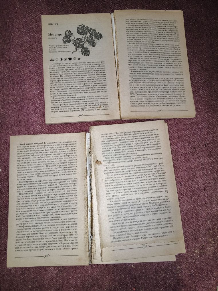 Книги по комнатным цветам и розам