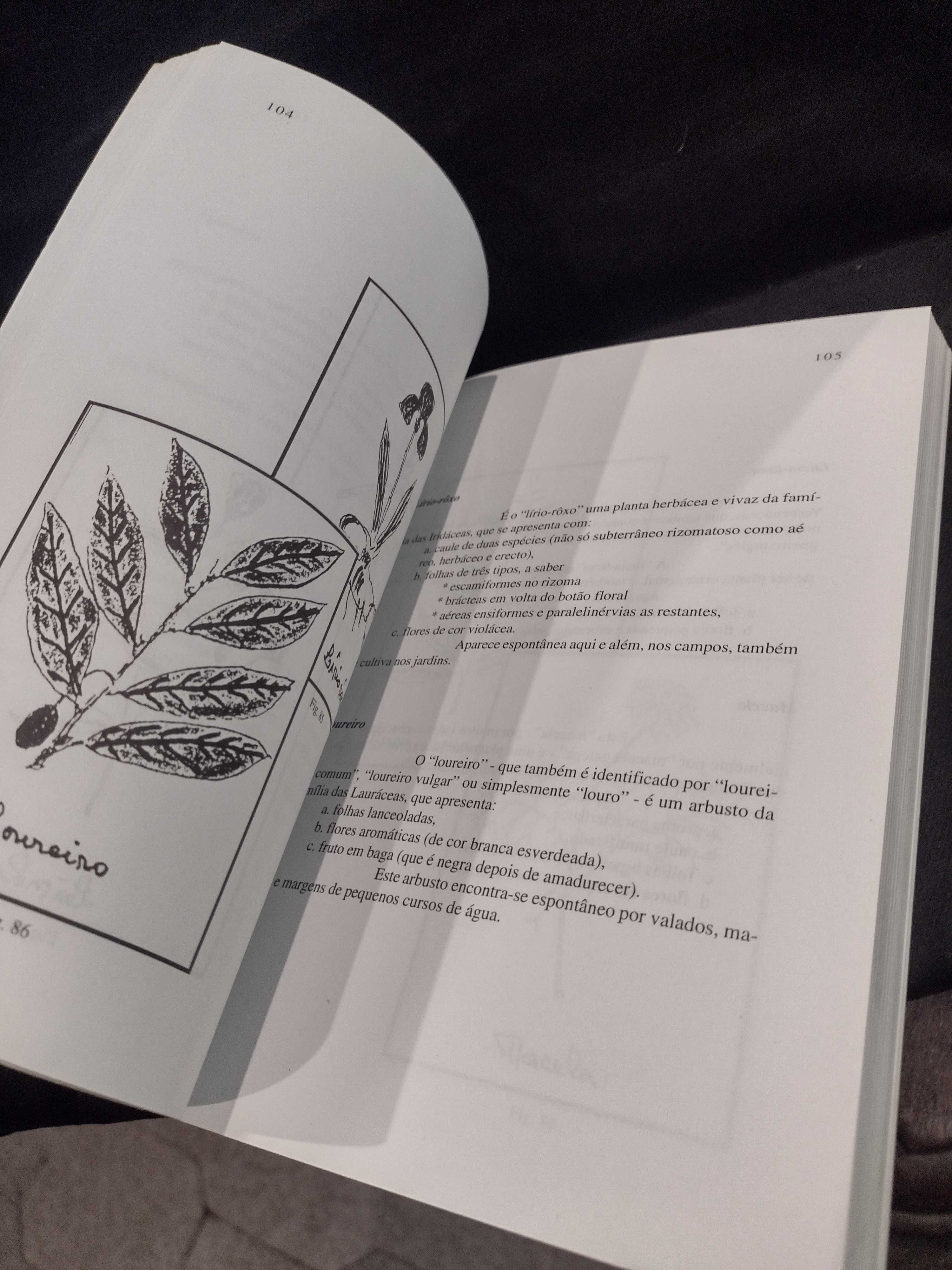 Plantas medicinais do Ribatejo - Luís António Vaz Tecedeiro (médico)
