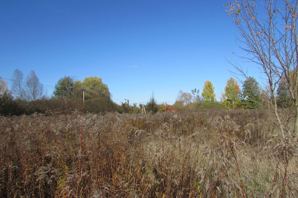 ПУХІВКА. Земельна ділянка 19 соток під забудову.