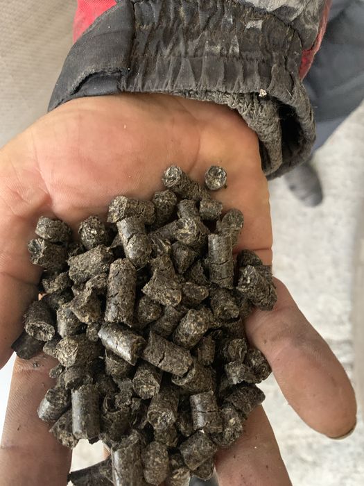 Пилета подсолнуха 8 мм