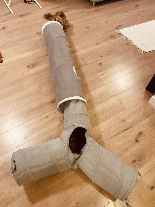 Conjunto de 2 túneis para gatos