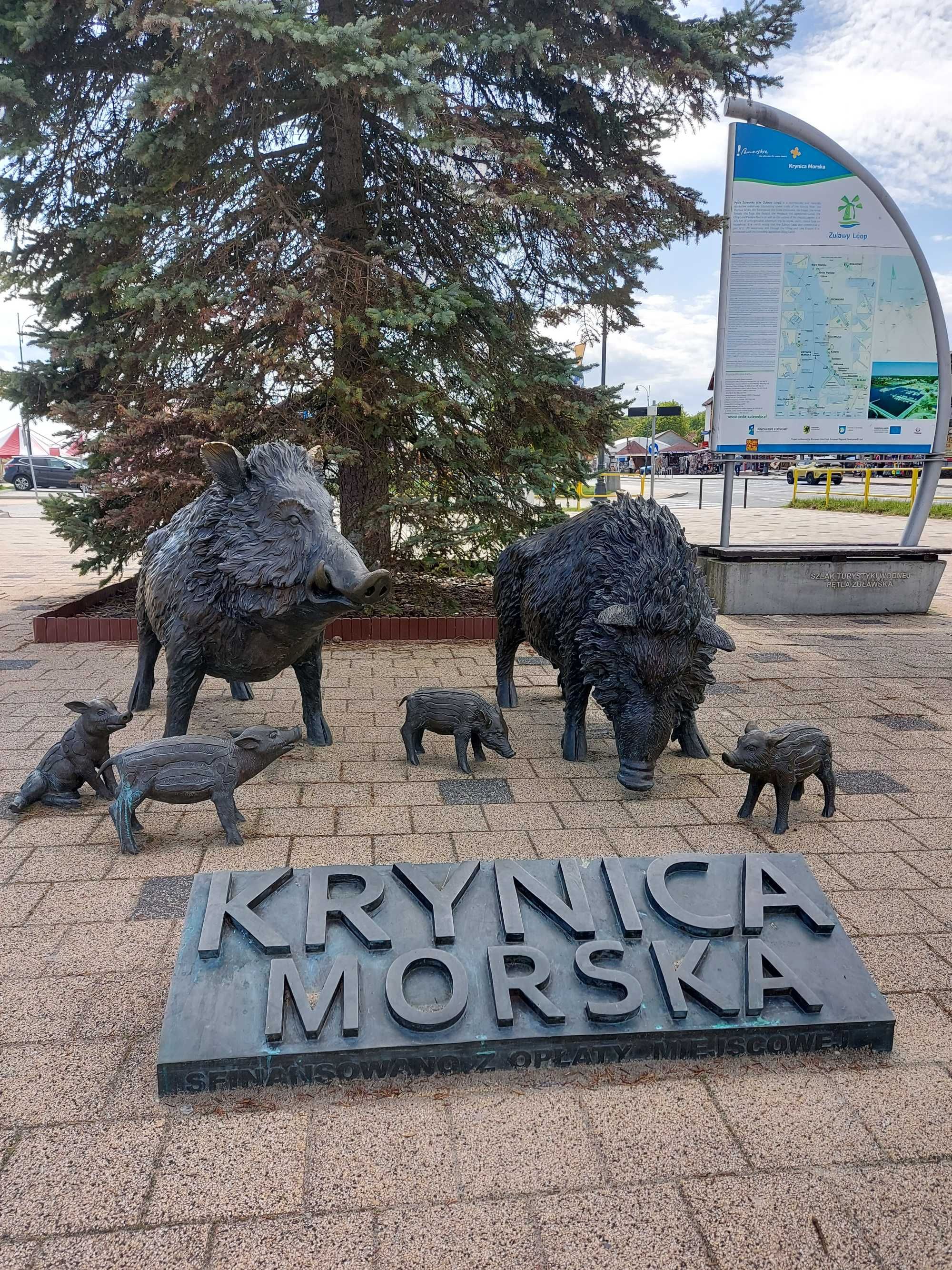 Apartament 2 pokojowy w Krynicy Morskiej do wynajęcia sezon 2025