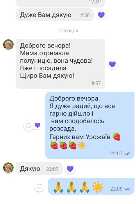 Виноград и клубника — саженцы от проверенного питомника. Доставка